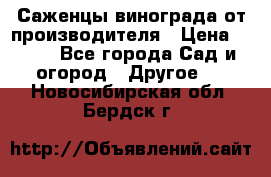 Саженцы винограда от производителя › Цена ­ 800 - Все города Сад и огород » Другое   . Новосибирская обл.,Бердск г.